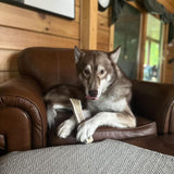 3-Pack Whole Antler Dog Chew - Grade A - All Natural Organic Long Lasting Treats Made from USA Naturally Shed Antlers - Free Shipping