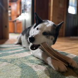 3-Pack Whole Antler Dog Chew - Grade A - All Natural Organic Long Lasting Treats Made from USA Naturally Shed Antlers - Free Shipping