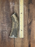 One Medium Premium Antler Dog Chew - FREE SHIPPING