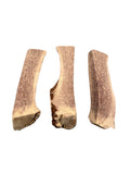 3-Pack Whole Antler Dog Chew - Grade A - All Natural Organic Long Lasting Treats Made from USA Naturally Shed Antlers - Free Shipping