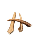3-Pack Whole Antler Dog Chew - Grade A - All Natural Organic Long Lasting Treats Made from USA Naturally Shed Antlers - Free Shipping