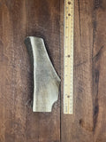 One Large Split Premium Antler Dog Chew - FREE SHIPPING