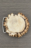 Front view of handcrafted elk antler burr belt buckle