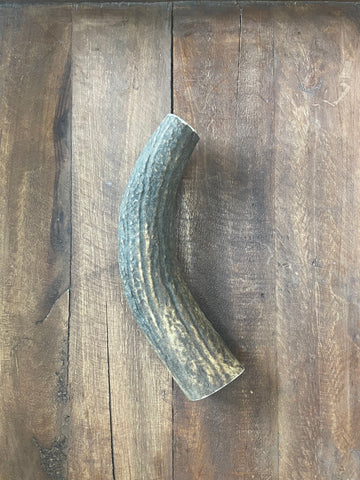 One X-Large Premium Elk Antler Dog Chew - FREE SHIPPING