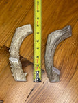 One Large Premium Deer Antler Dog Chew - FREE SHIPPING