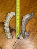 One Large Premium Deer Antler Dog Chew - FREE SHIPPING