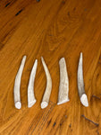 3-Pack Small Premium Deer Antler Dog Chews - FREE SHIPPING