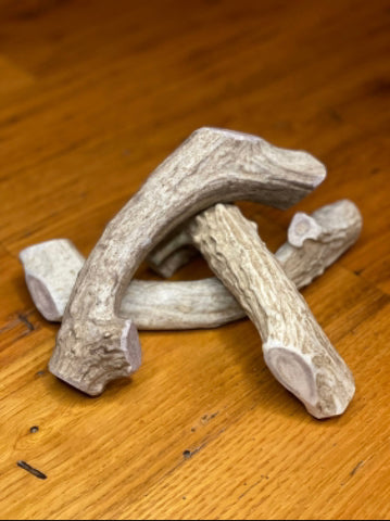 One Large Premium Deer Antler Dog Chew - FREE SHIPPING